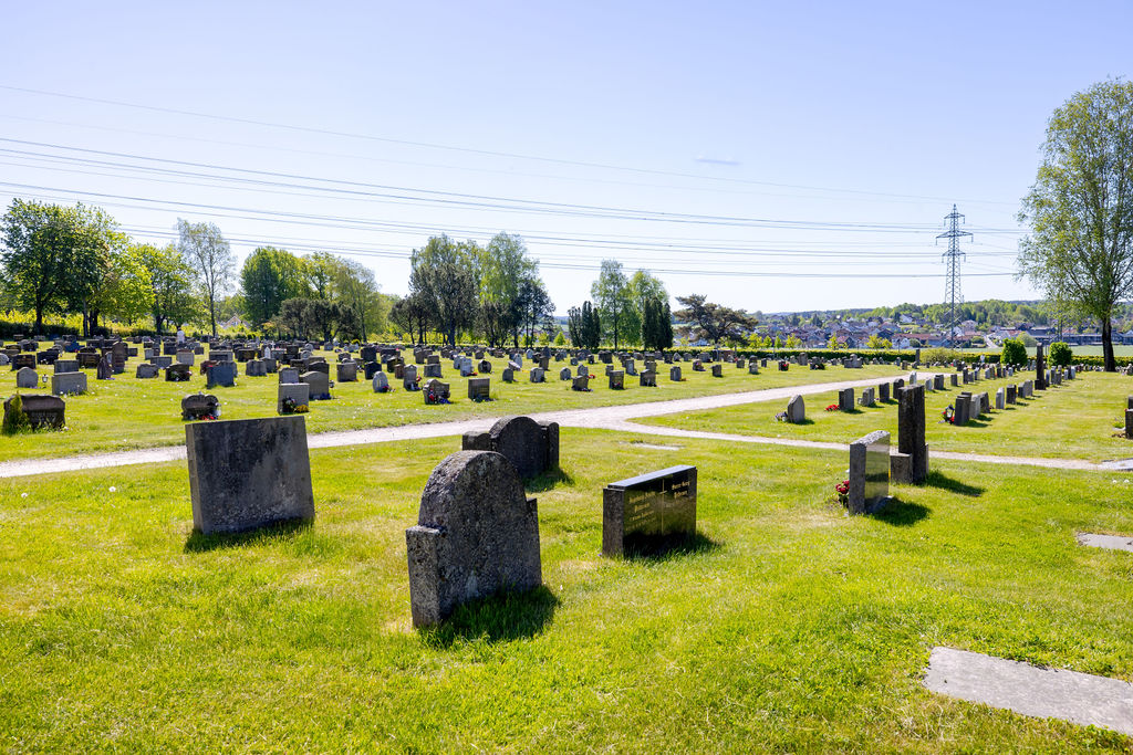Bedriftsfoto i Sarpsborg, Fredrikstad, Moss, Oslo og Østfold