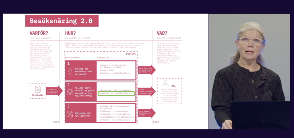 Webinar med Svinesundkomiten